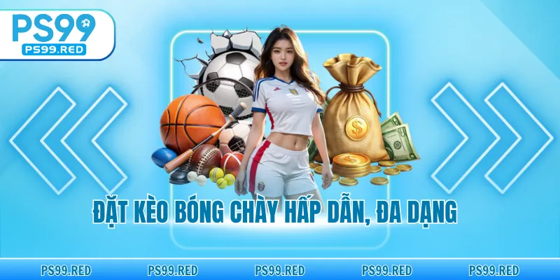 Đặt kèo bóng chày hấp dẫn, đa dạng