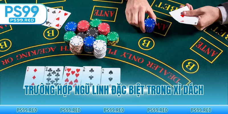 Trường hợp Ngũ Linh đặc biệt trong xì dách